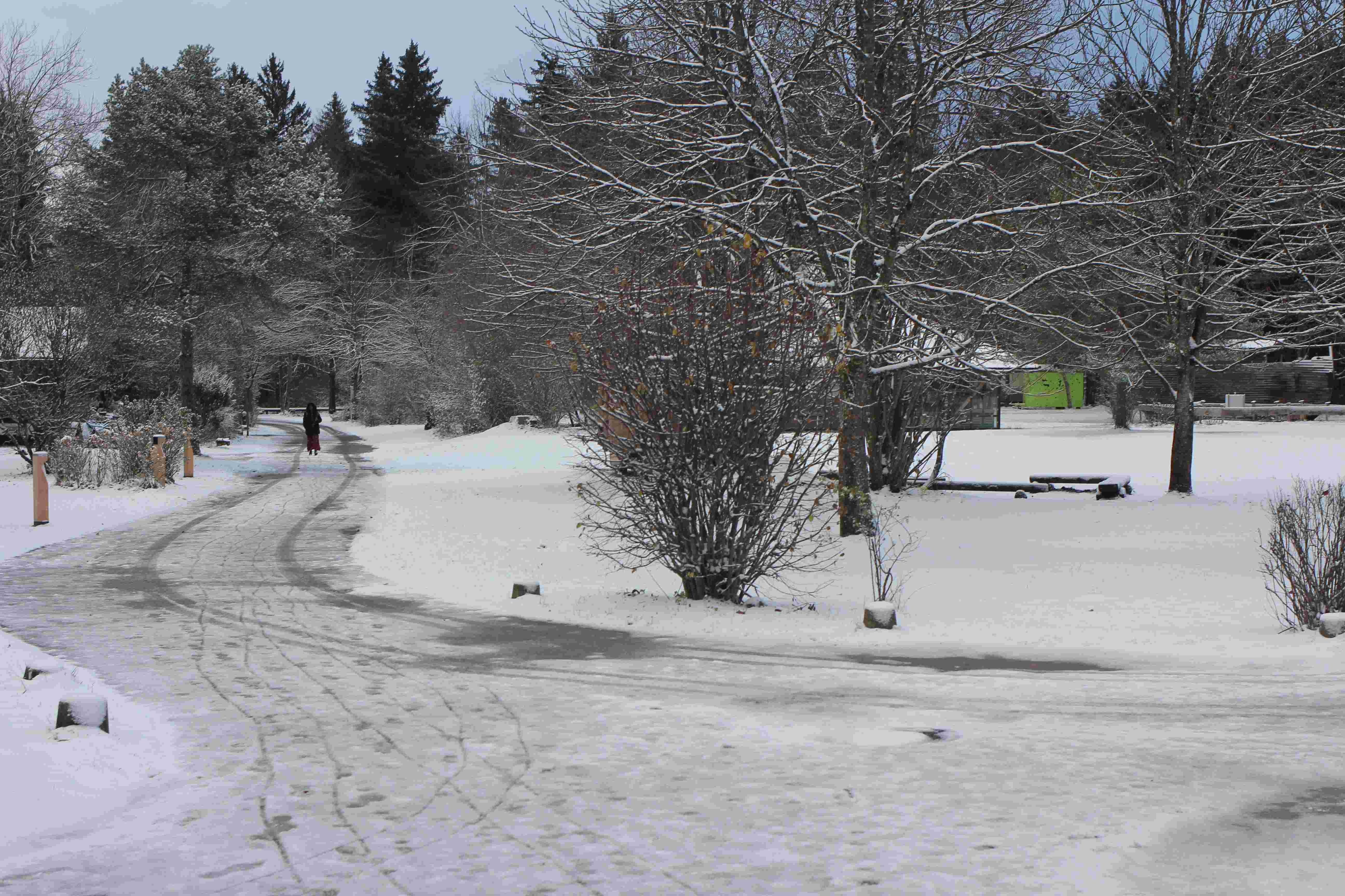 Konzert ZGHO Mai 2019