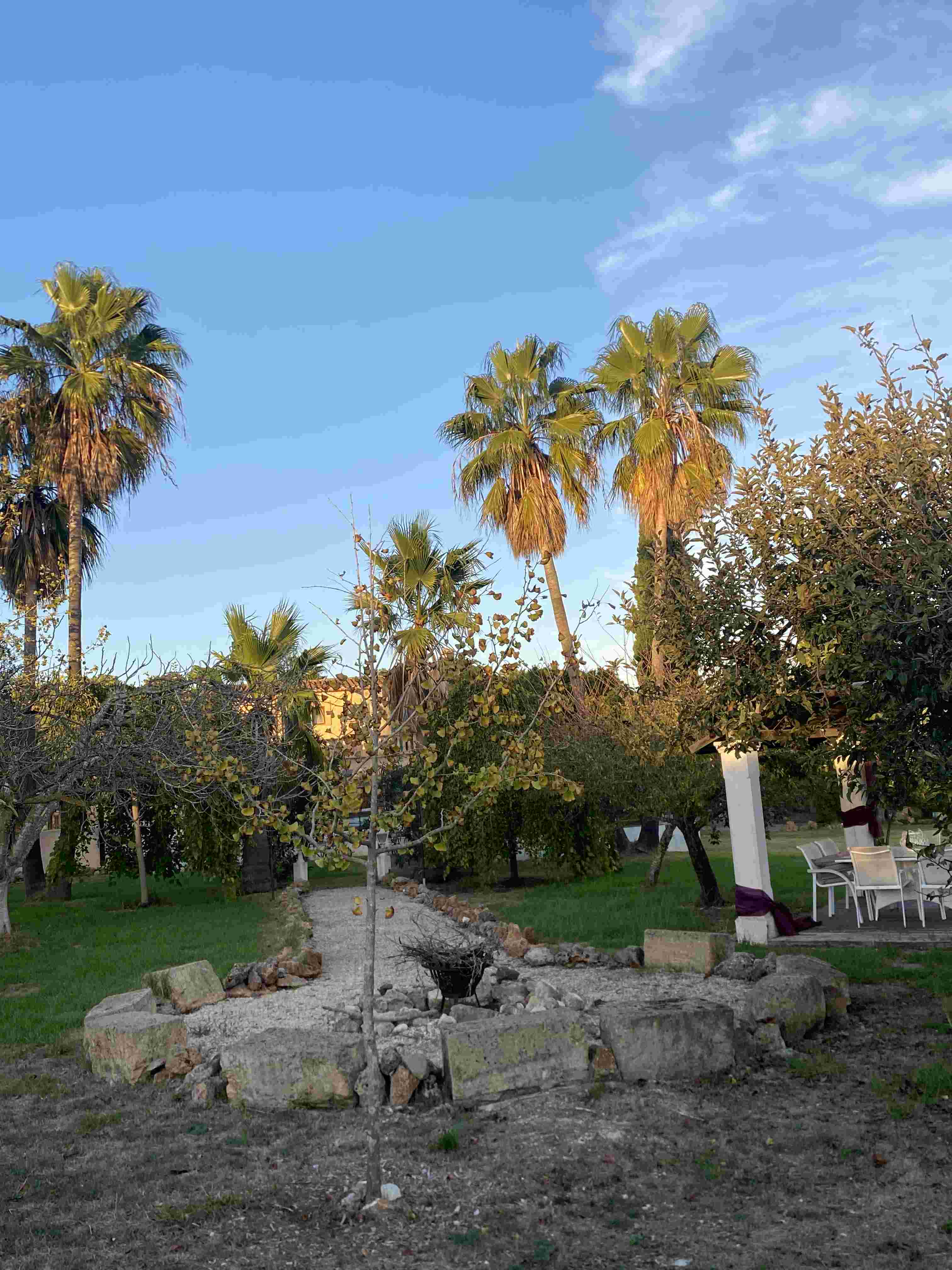 Konzert ZGHO Mai 2019