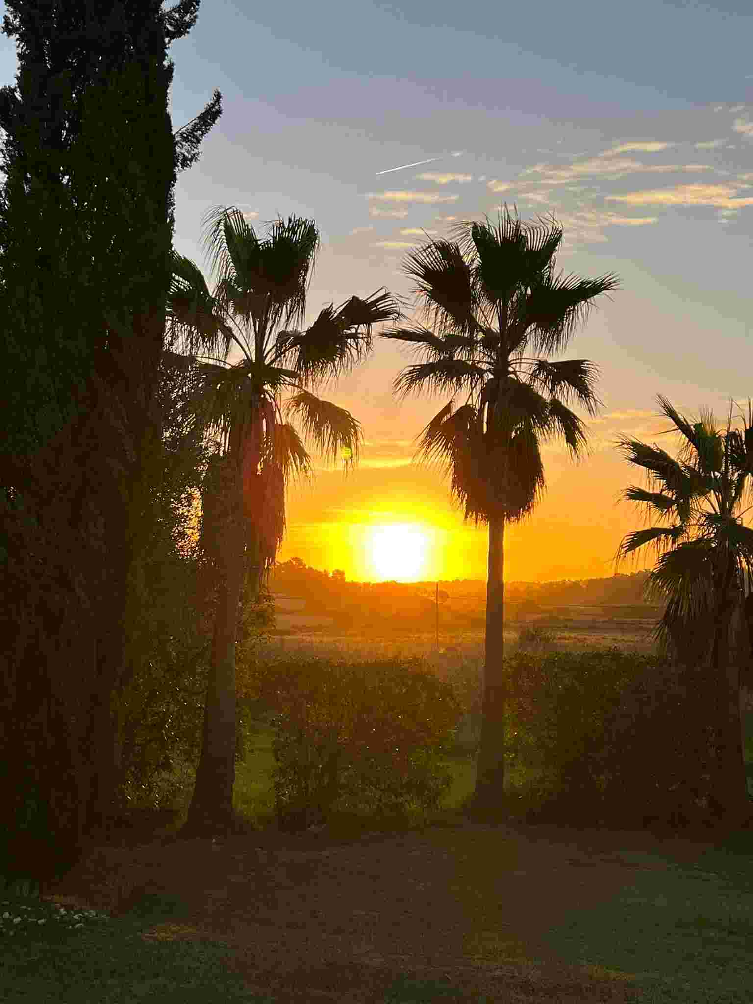 Konzert ZGHO Mai 2019